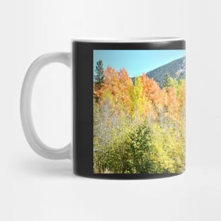 Colorado Fall Colors in the Aspen Trees Mug